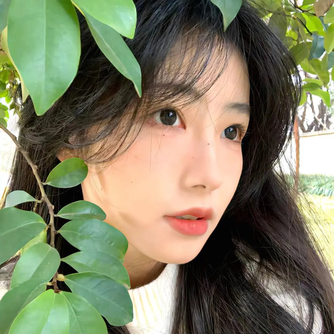 异物志